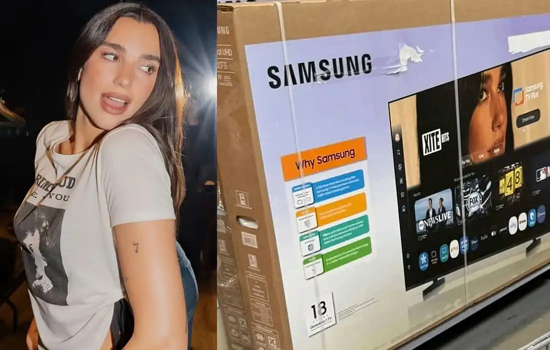 Dua Lipa lawsuit targets Samsung image use