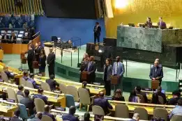 Five nations elected to UN Security Council for 2027