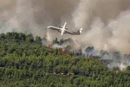 Why are southern France wildfires spreading rapidly? Nearly 1,000 hectares already destroyed
