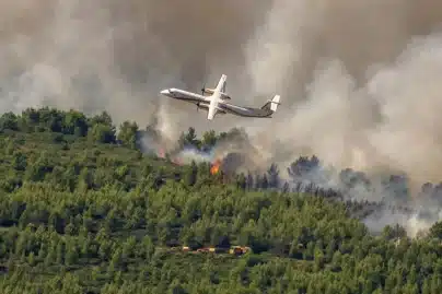 Why are southern France wildfires spreading rapidly? Nearly 1,000 hectares already destroyed