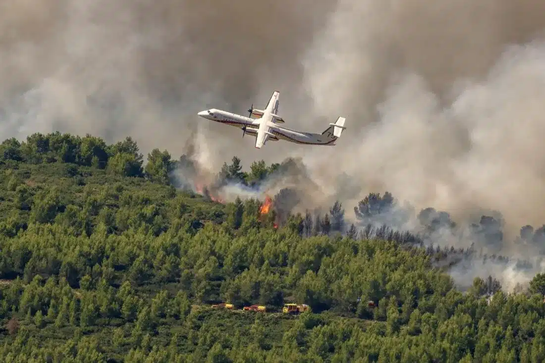 Southern France wildfires have burned nearly 1,000 hectares as firefighters battle challenging weather and rugged terrain to contain the blaze.