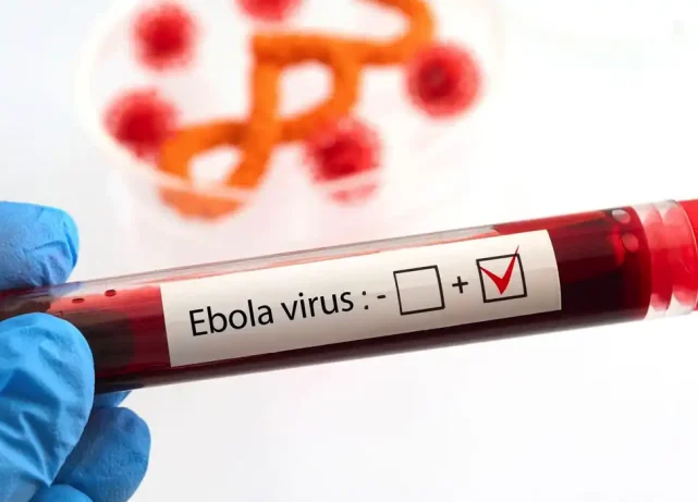 First Ebola patient recovers in France
