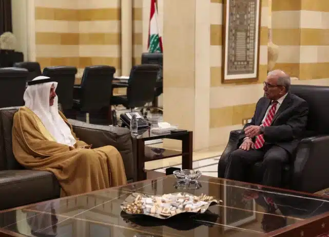 UAE-Lebanon ties discussed in Beirut