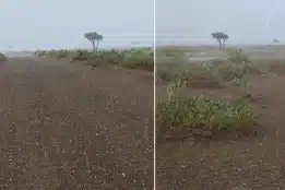 Heavy rain and hail hit parts of UAE: Will more showers follow?