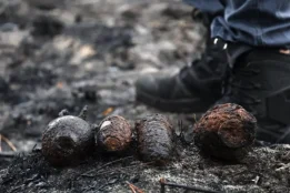 French wildfire uncovers hidden WWII grenades buried for decades