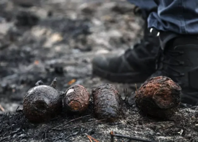 French wildfire uncovers hidden WWII grenades buried for decades