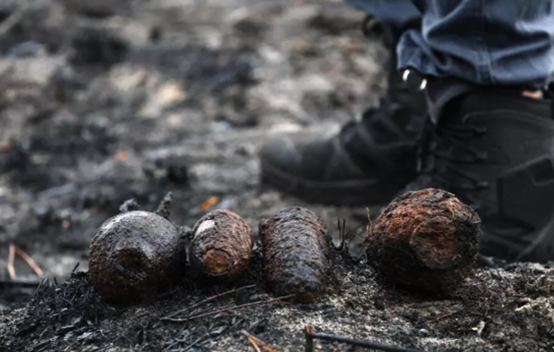 French wildfire uncovers hidden WWII grenades buried for decades