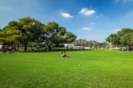 Can living near green spaces lower your type 2 diabetes risk?