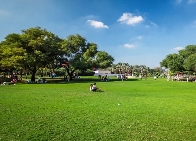 Can living near green spaces lower your type 2 diabetes risk?