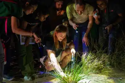 Love nature? Learn how your photos can help real science