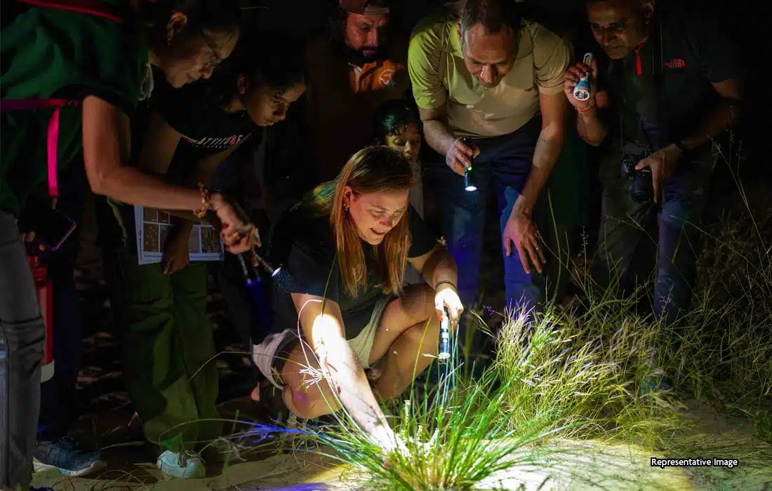 Love nature? Learn how your photos can help real science