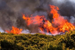 UK wildfire alert sent to millions as fire risk rises