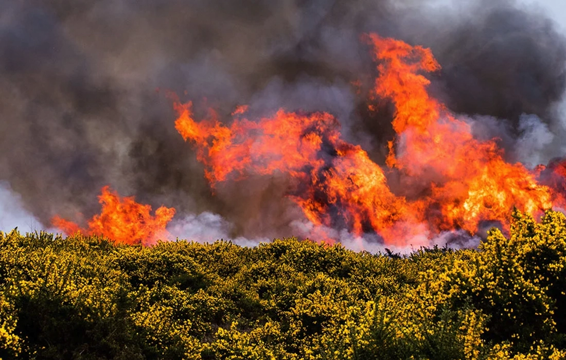 UK wildfire alert warns millions of danger