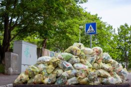 UAE organic waste plant turns food waste into renewable biogas