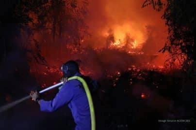 Indonesia seeks tougher wildfire penalties as worst crisis in 11 years spreads
