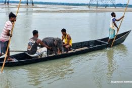 Fishermen rescue baby elephant from Teesta River in remarkable reunion