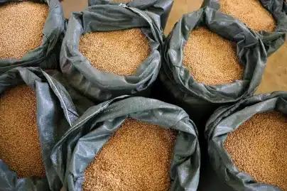 Global food prices hit highest level since 2022 as supply fears grow