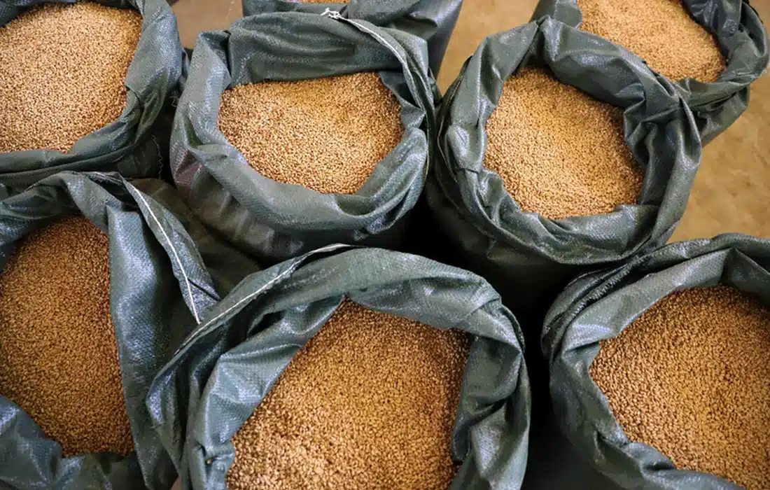 Global food prices hit highest level since 2022 as supply fears grow