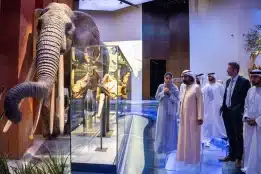 Mohammed bin Rashid explores 13.8 billion years of history in Natural History Museum Abu Dhabi