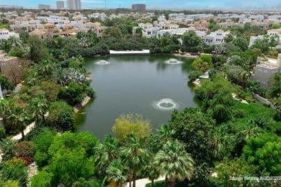 Dubai targets 3.5 million trees by 2040