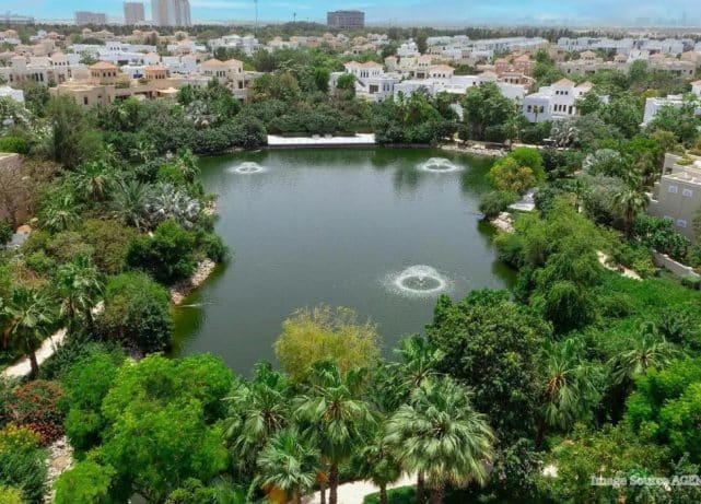 Dubai targets 3.5 million trees by 2040