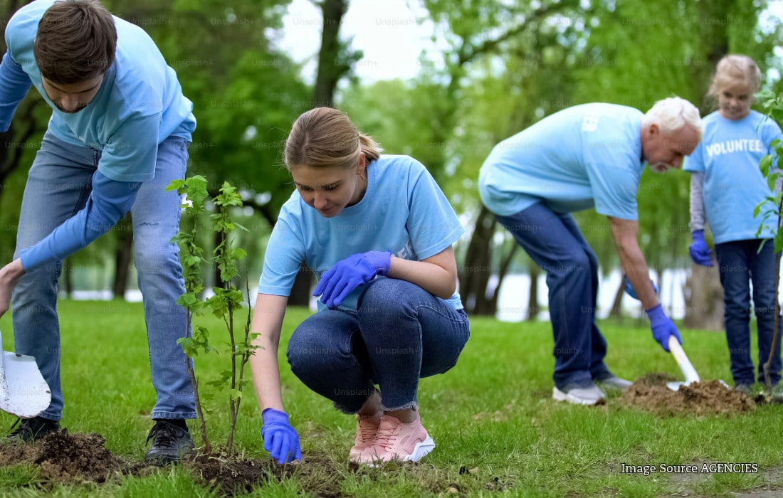 Newly planted young trees in a green landscape representing England’s 500,000-tree planting programme.