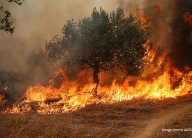 Drought-damaged farmland in Europe after extreme heat and water shortages in 2026.