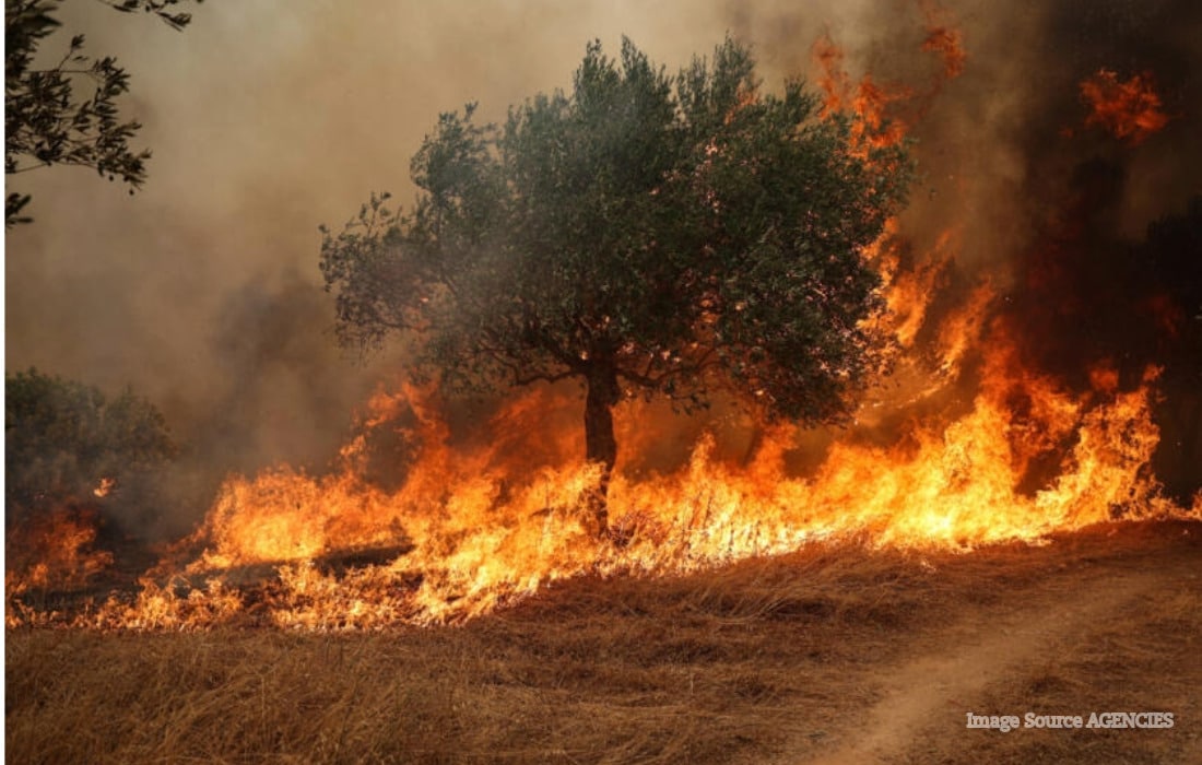 Drought-damaged farmland in Europe after extreme heat and water shortages in 2026.